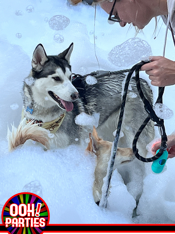 Maybe He Thought it was Snow?